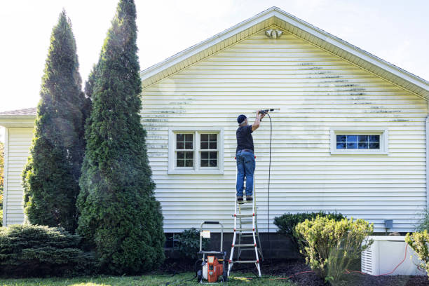 Professional Pressure washing in Pocomoke City, MD